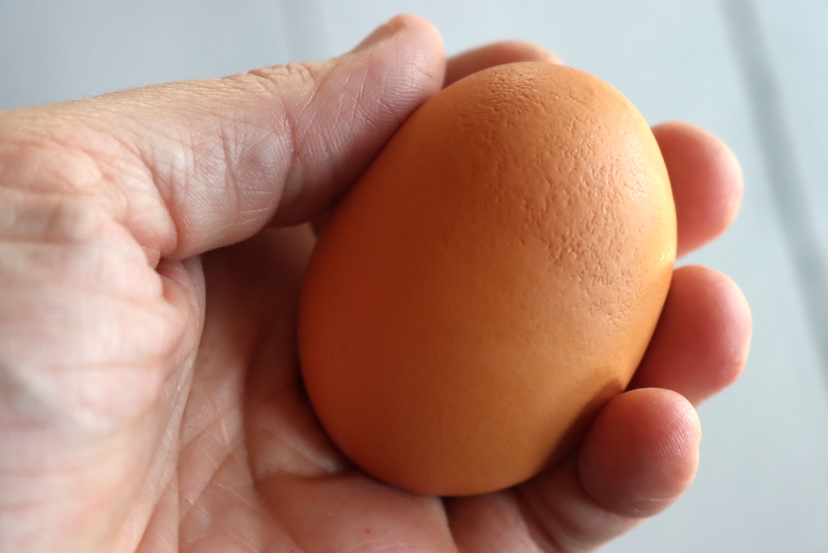 Wrinkled Egg
