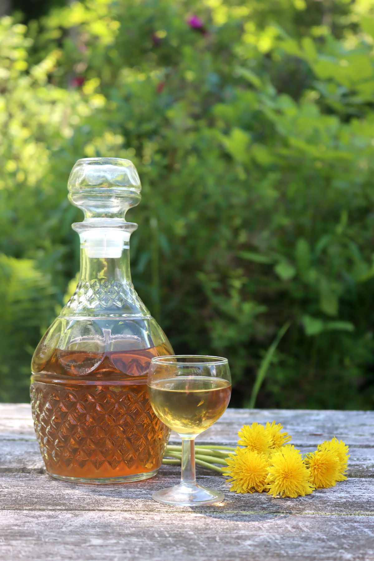 dandelion liqueur (cordial)