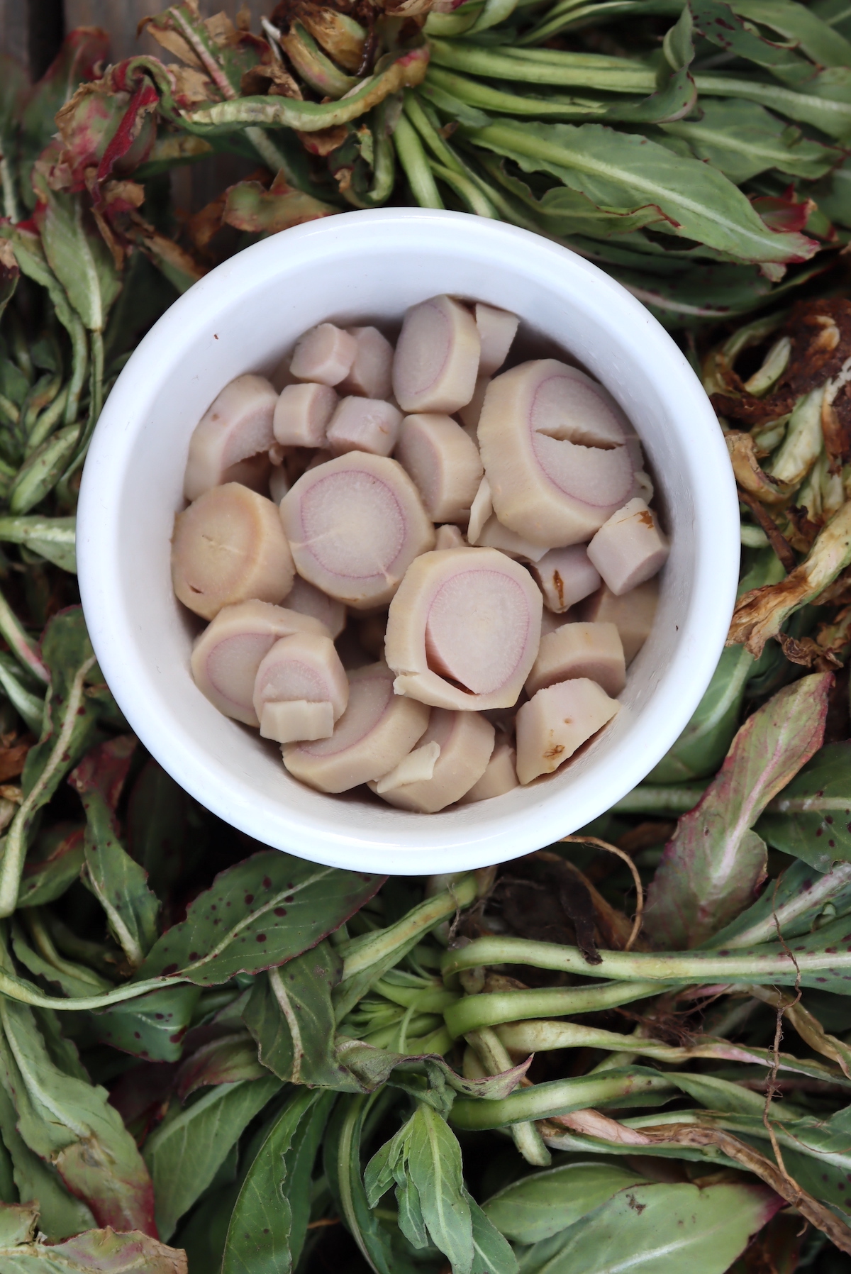 Peeled and Boiled Evening Primrose Roots