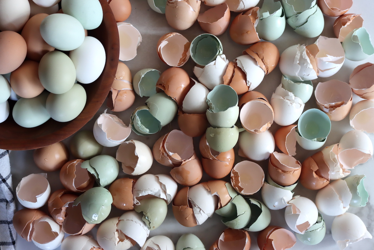 Cracked Egg Shells