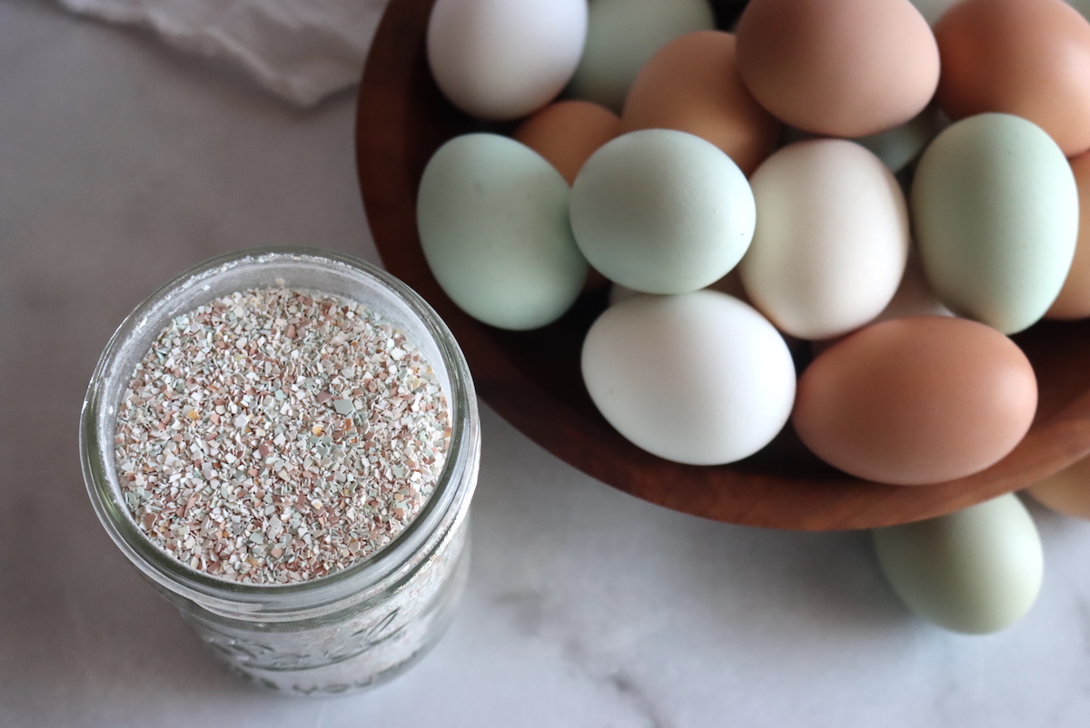 Egg Shell Powder