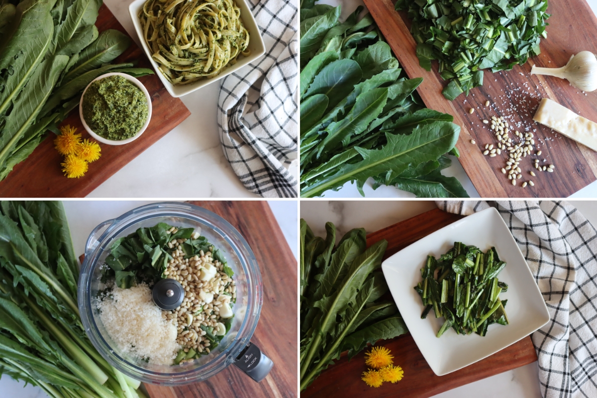 Homemade Dandelion Greens Recipes