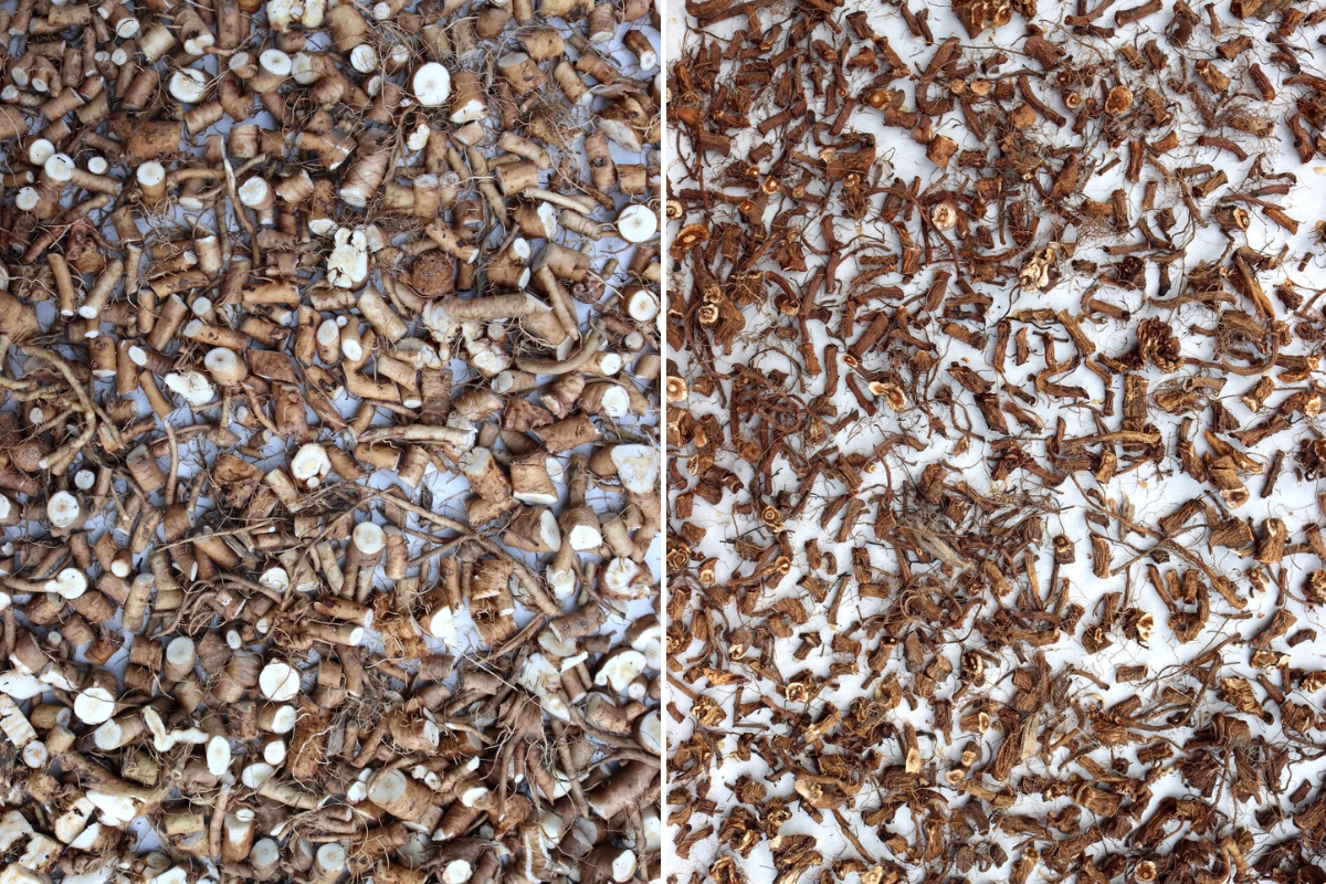 Roasting Dandelion Roots