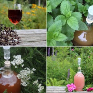 Herbal Wines and Mead