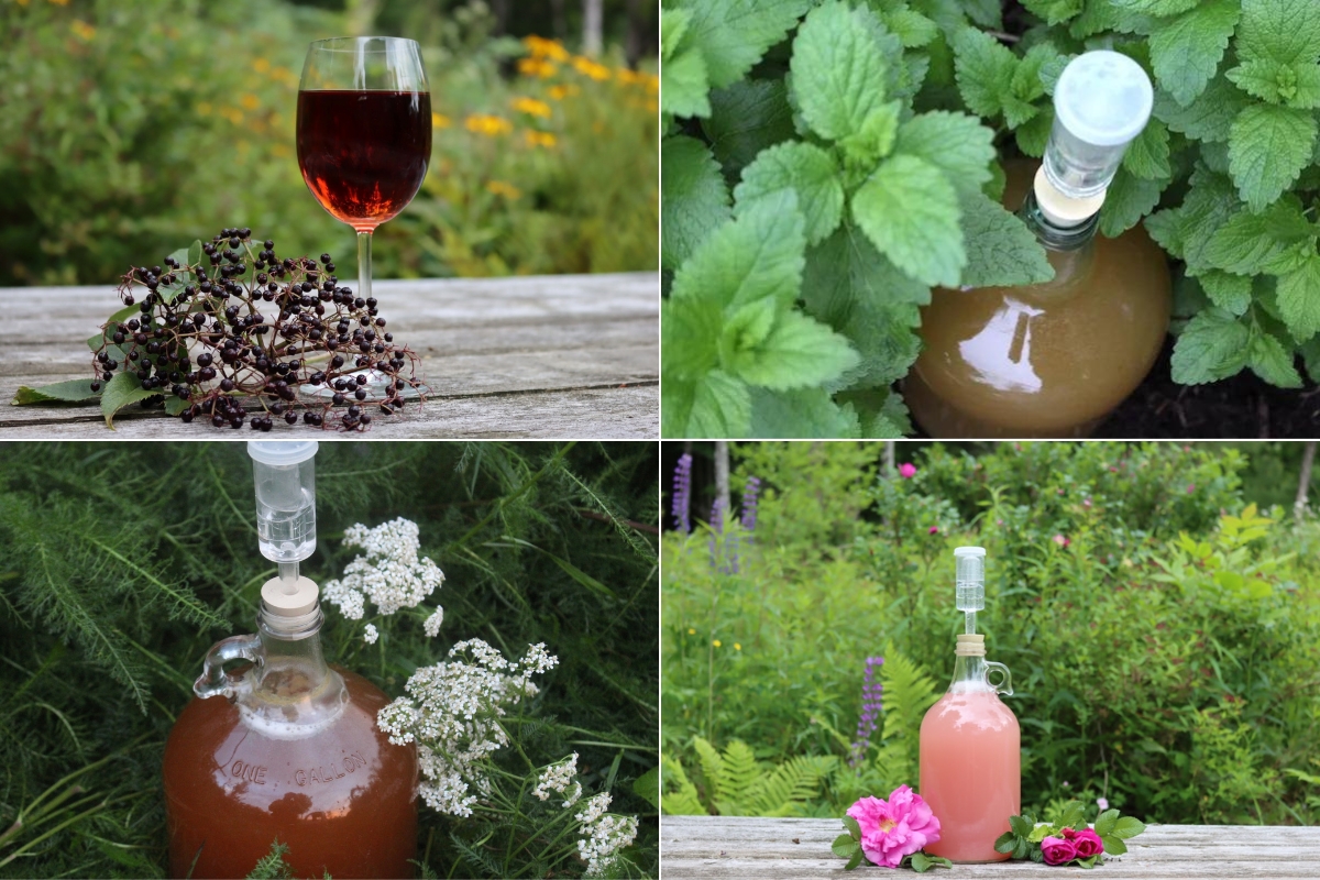 Herbal Wines and Mead