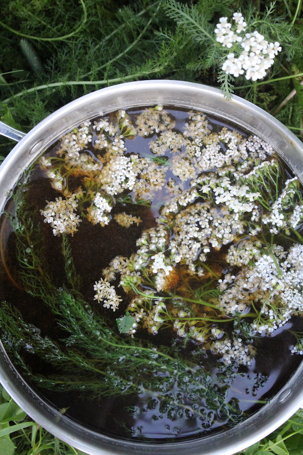 Yarrow Beer Infusing