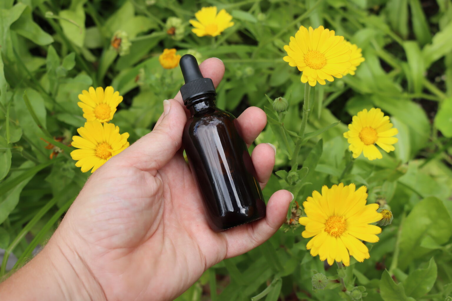 Calendula Tincture
