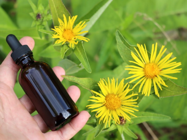 Elecampane Tincture
