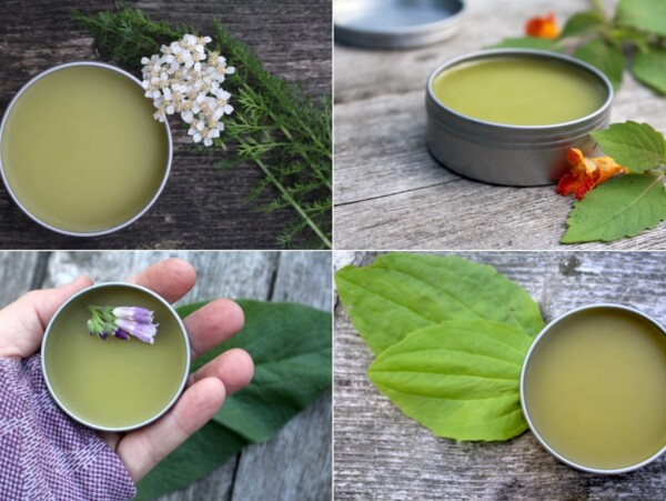 Herbal Salve Recipes