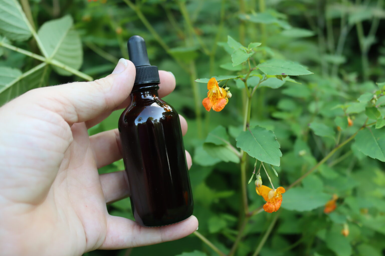 Jewelweed Tincture