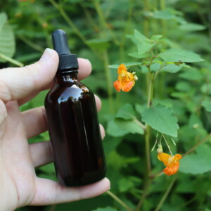 Jewelweed Tincture