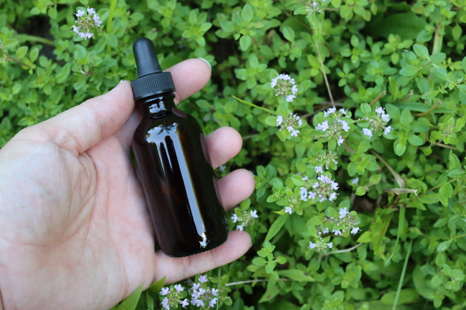 Thyme Tincture
