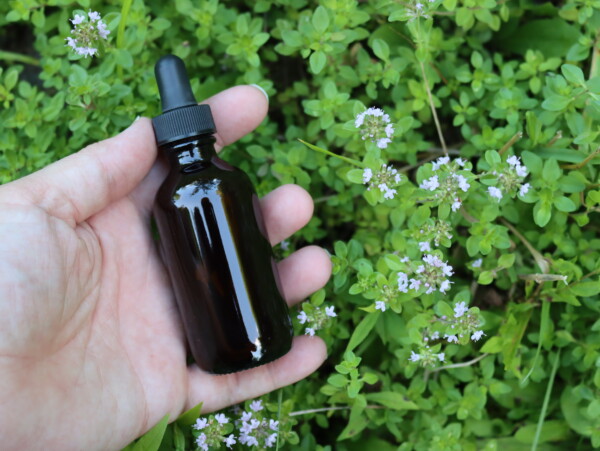 Thyme Tincture