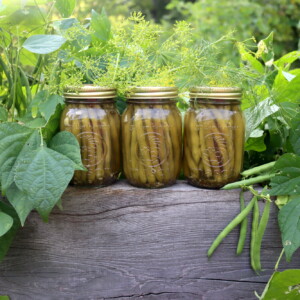 Pickled Dilly Beans