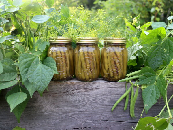 Pickled Dilly Beans