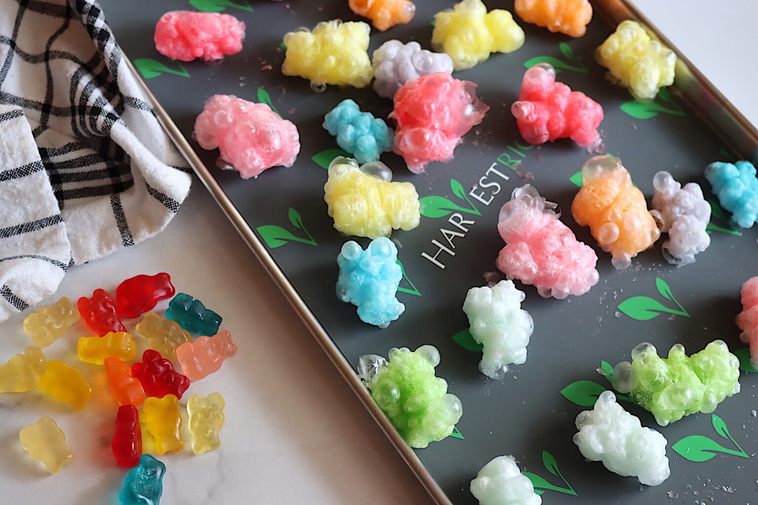 Freeze Dried Gummy Bears