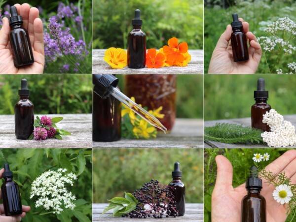Herbal Tincture Recipes
