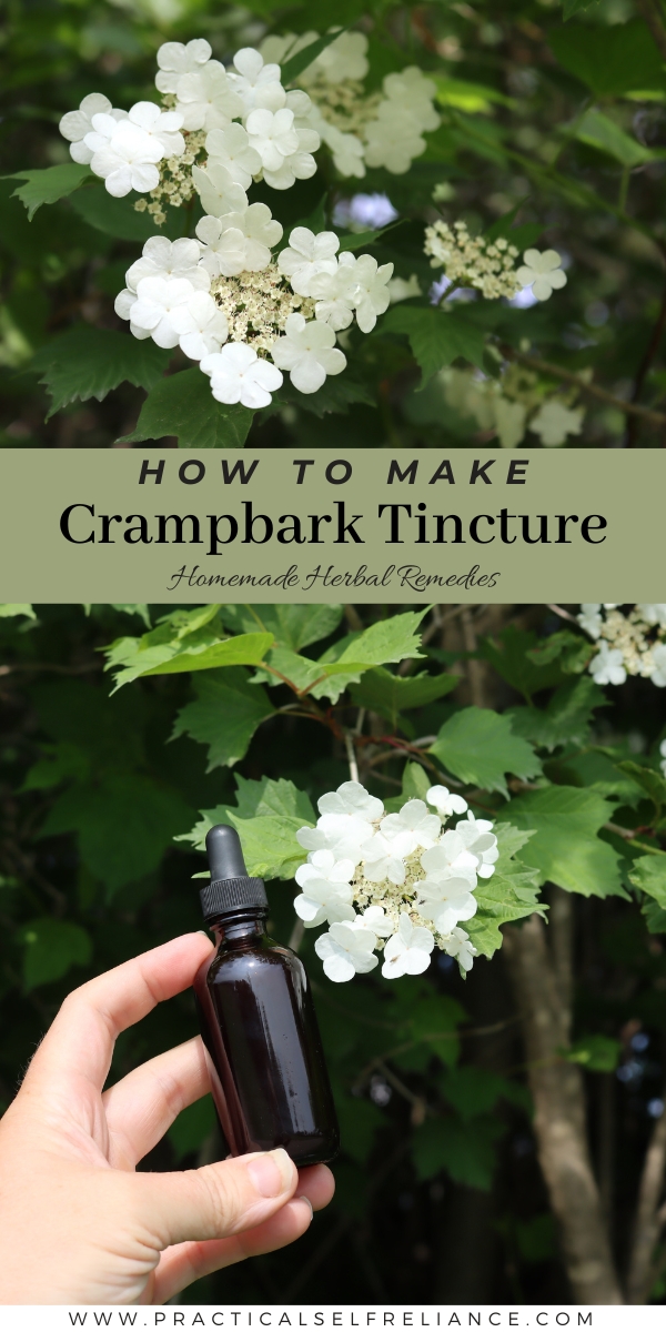 How to Make Crampbark Tincture