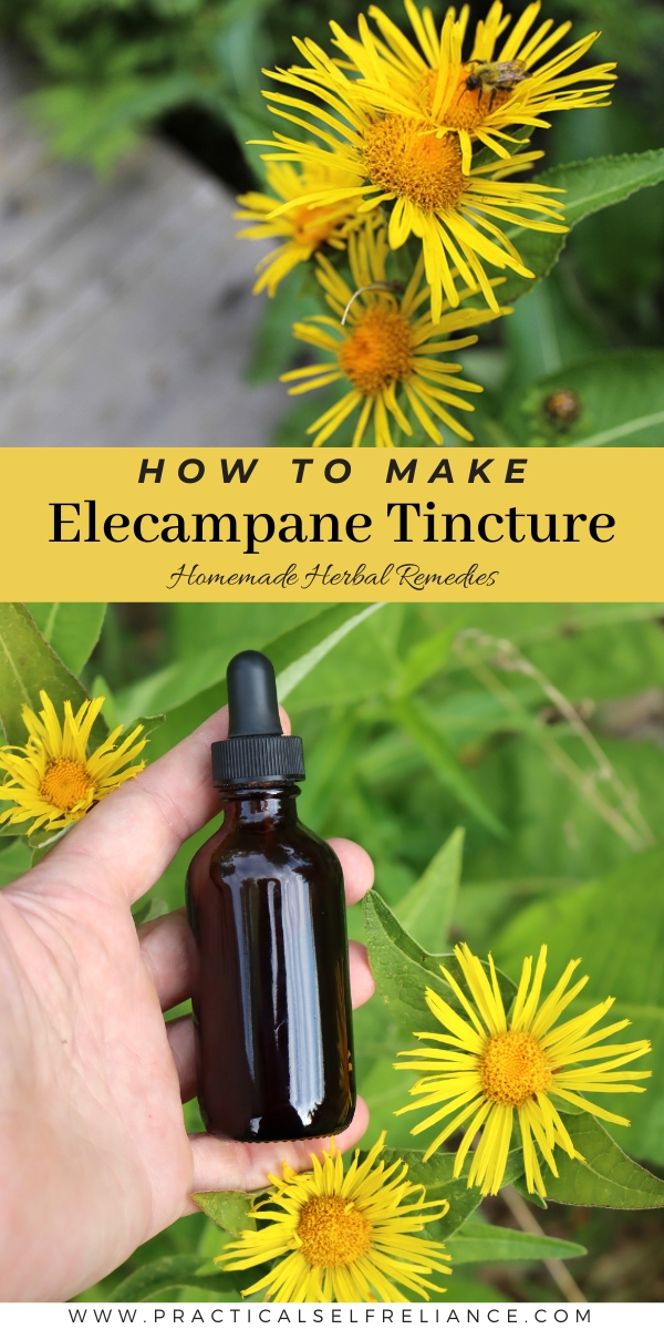 How to Make Elecampane Tincture