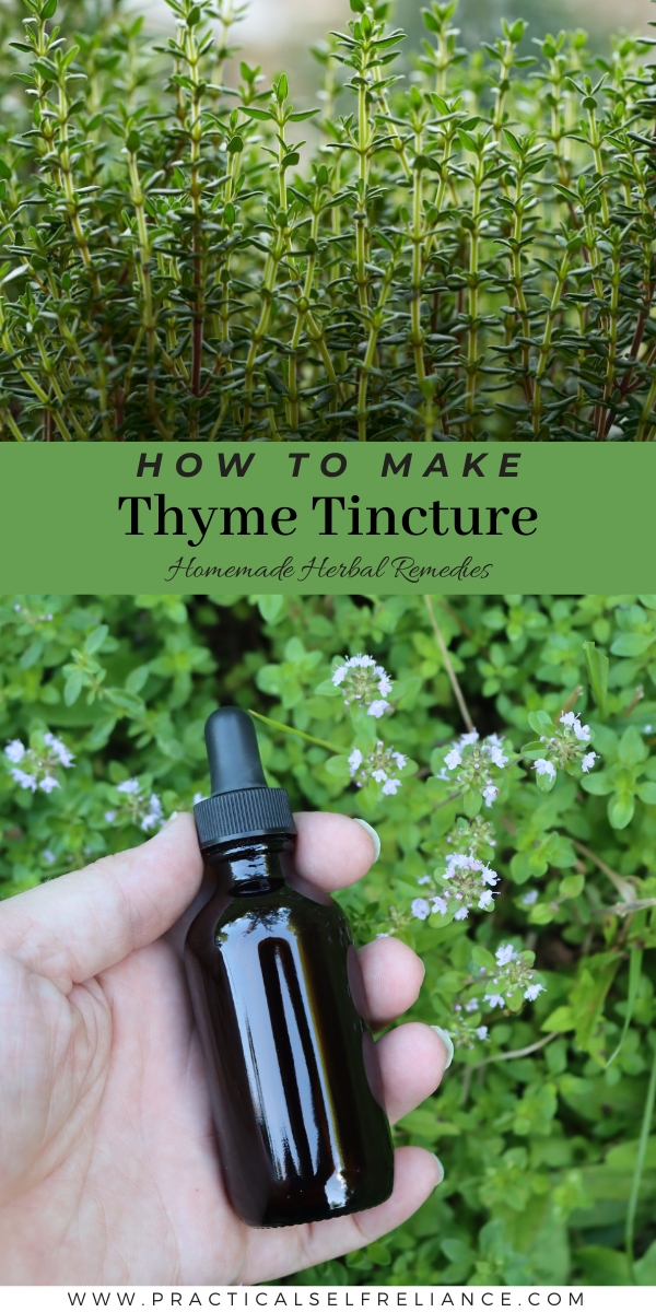 How to Make thyme tincture