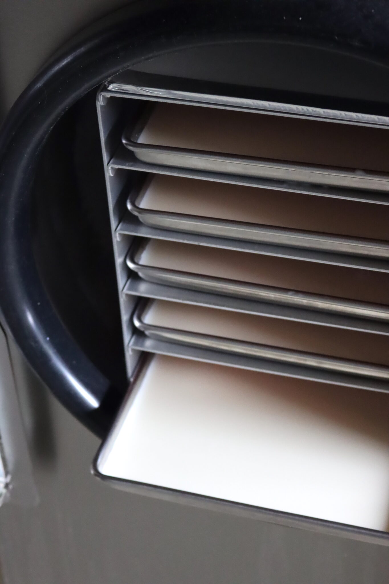 Milk in Freeze Dryer