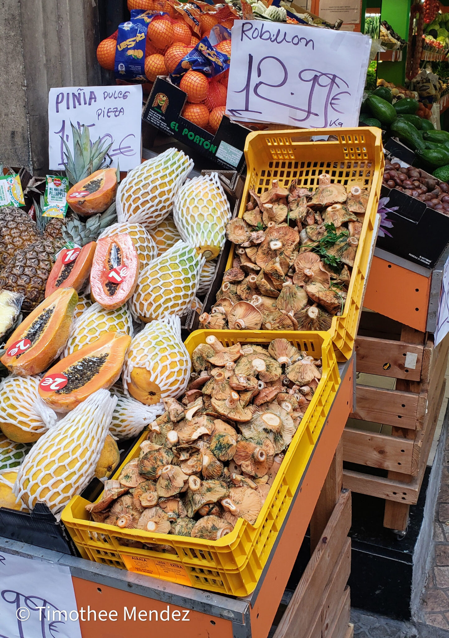 Saffron Milk Caps for Sale in Spain