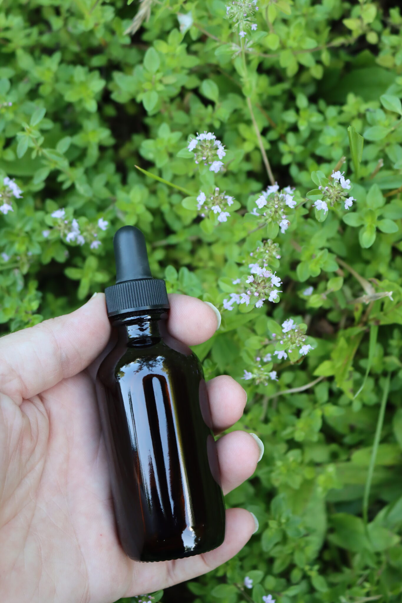 Thyme Tincture