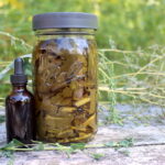 Wild Lettuce Tincture