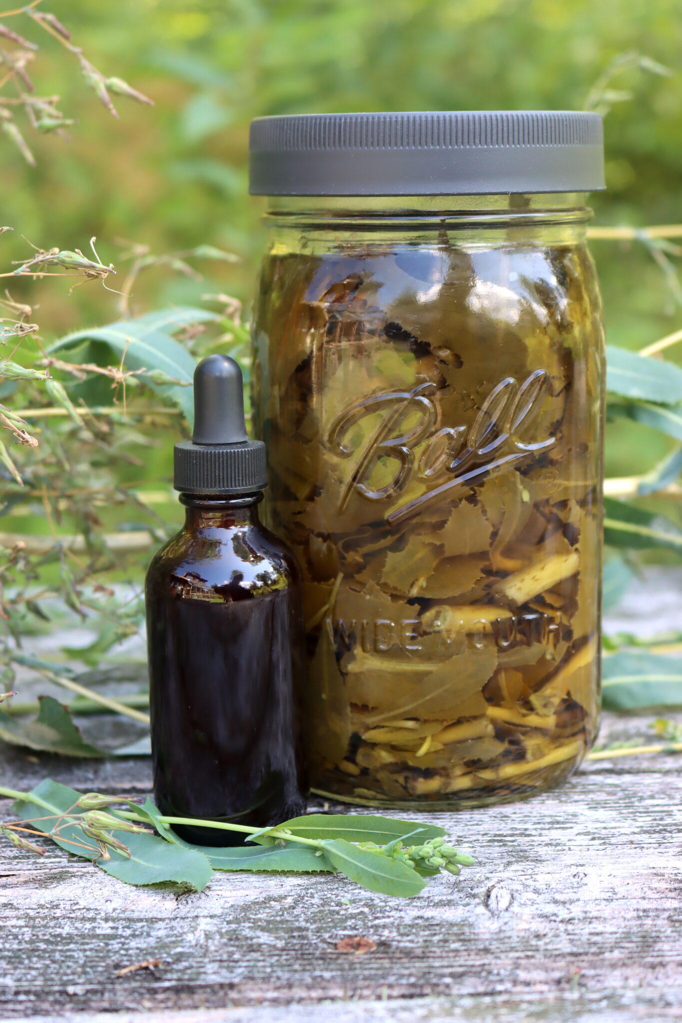Wild Lettuce Tincture