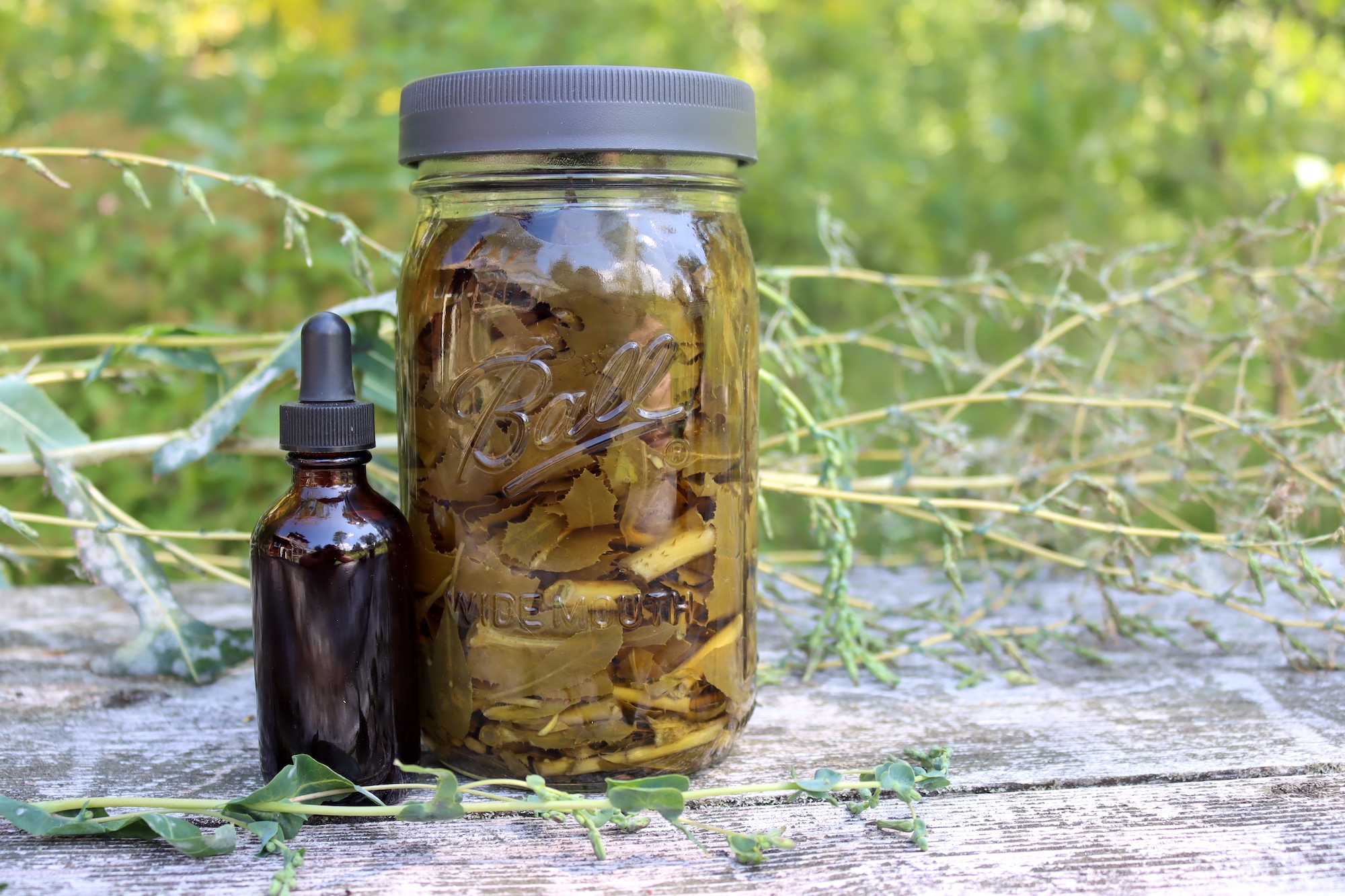 Wild Lettuce Tincture