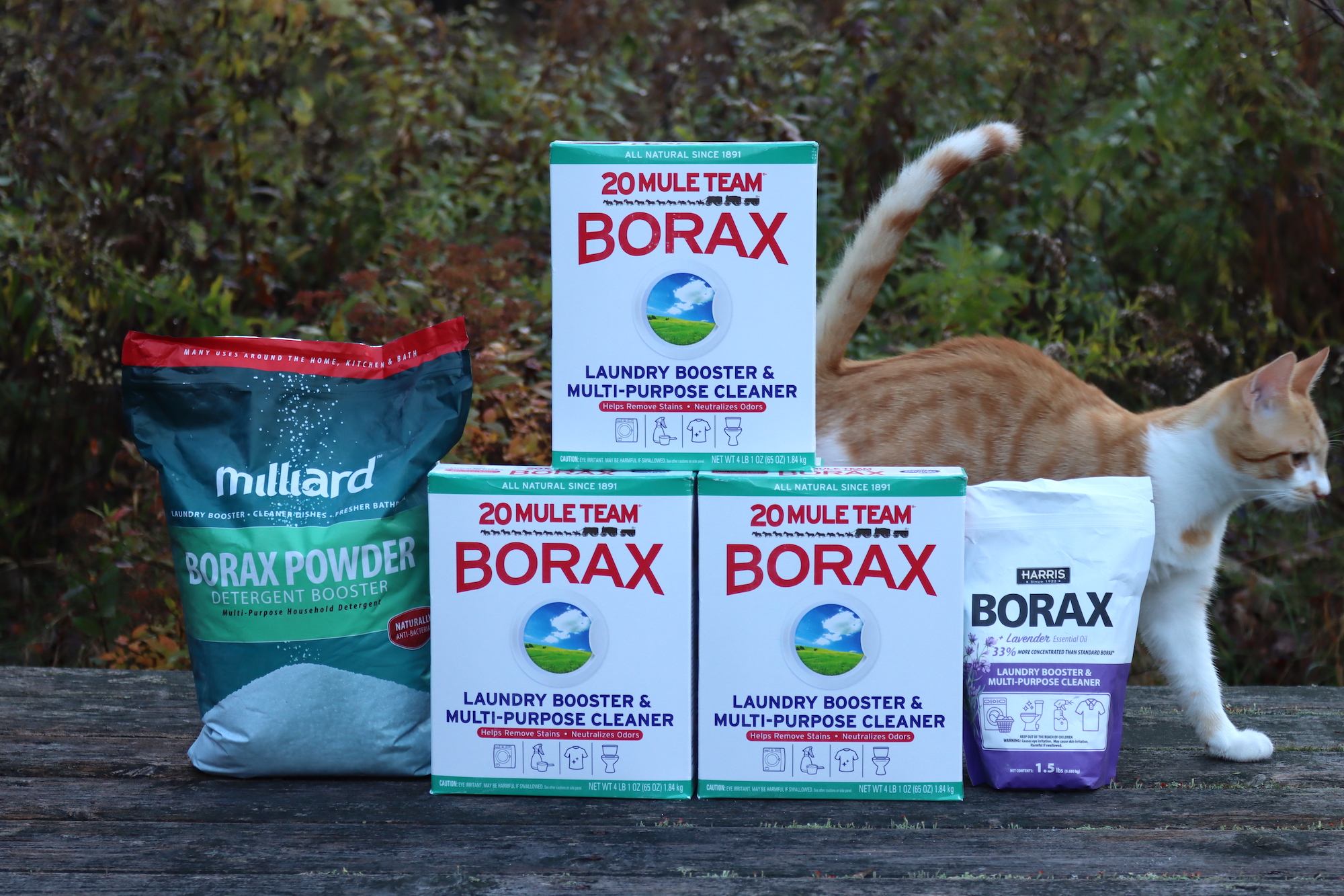 Borax Types