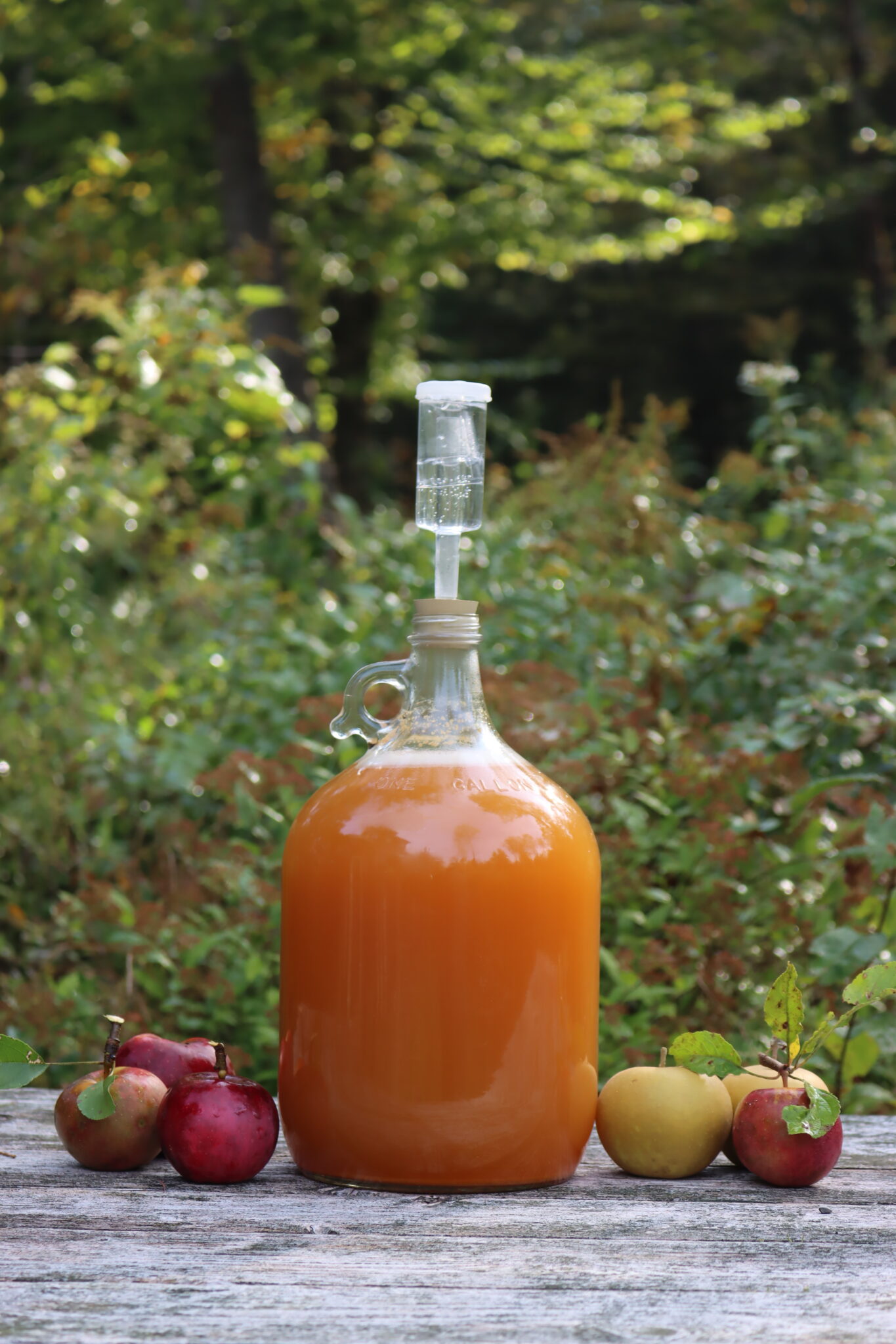 Cyzer or Apple Mead