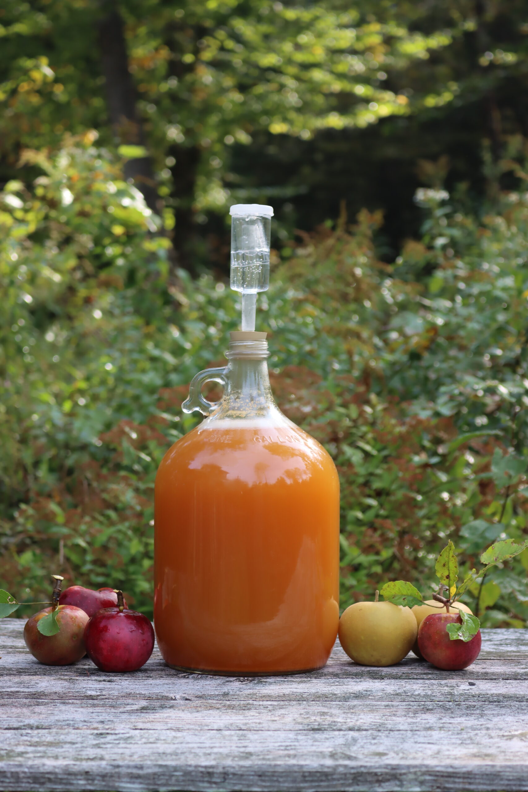 Cyzer Fermenting