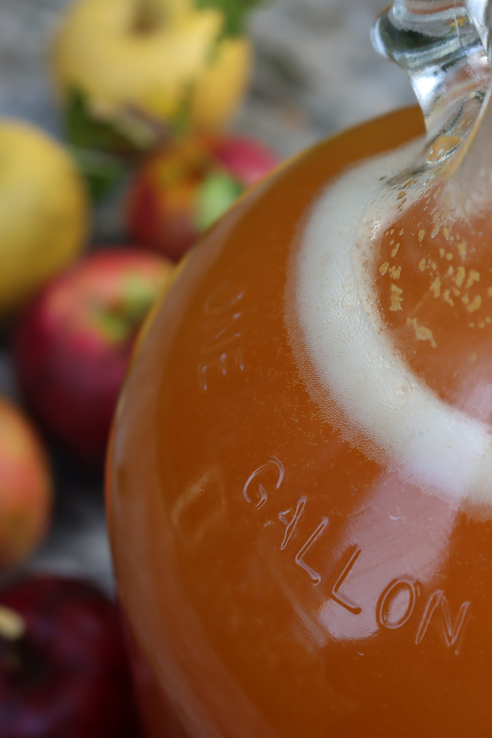 Cyzer Fermenting