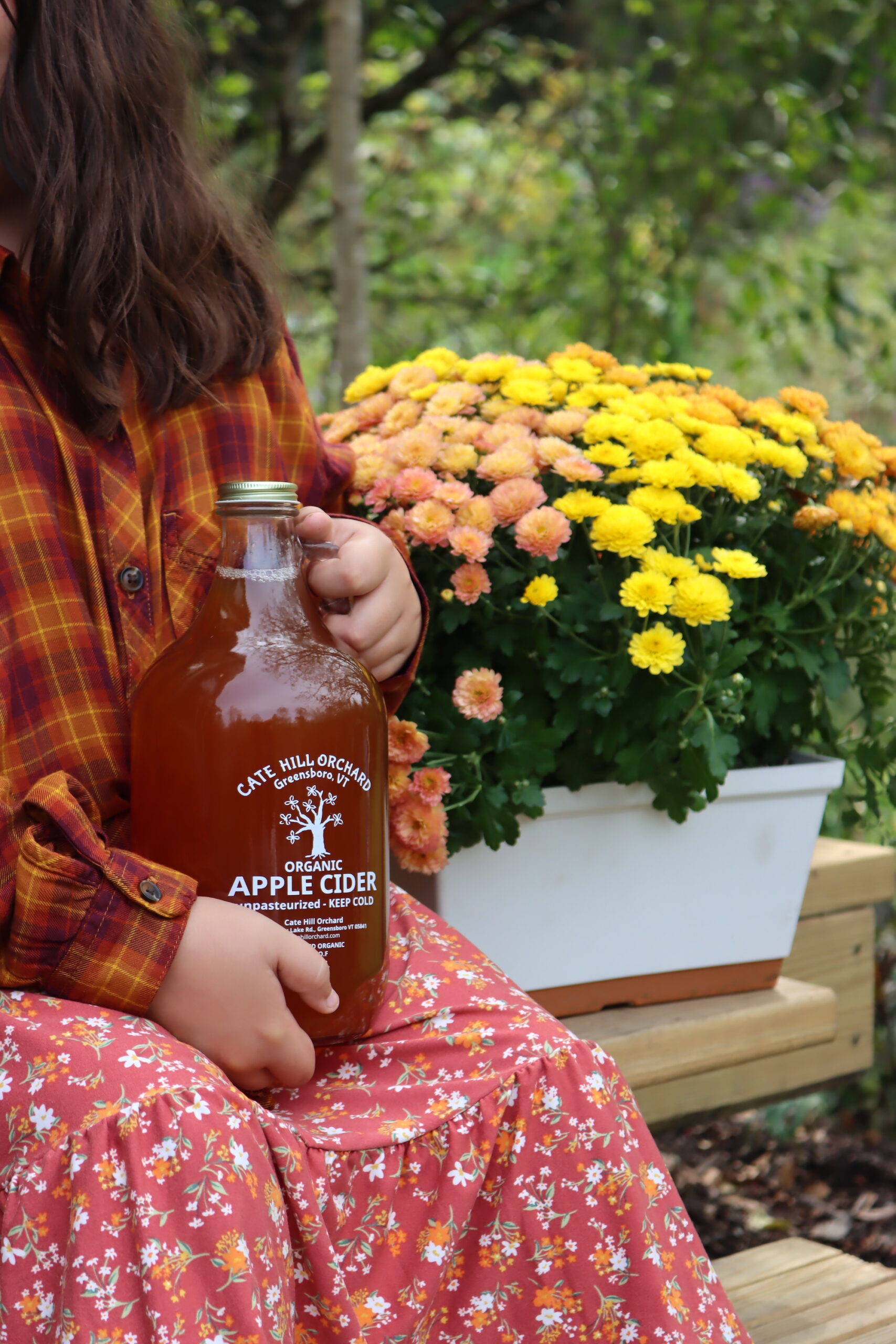 Fall Cider