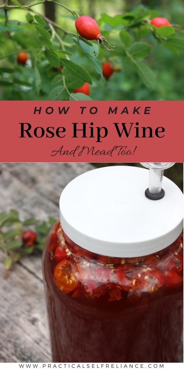 How to Make Rose Hip Wine