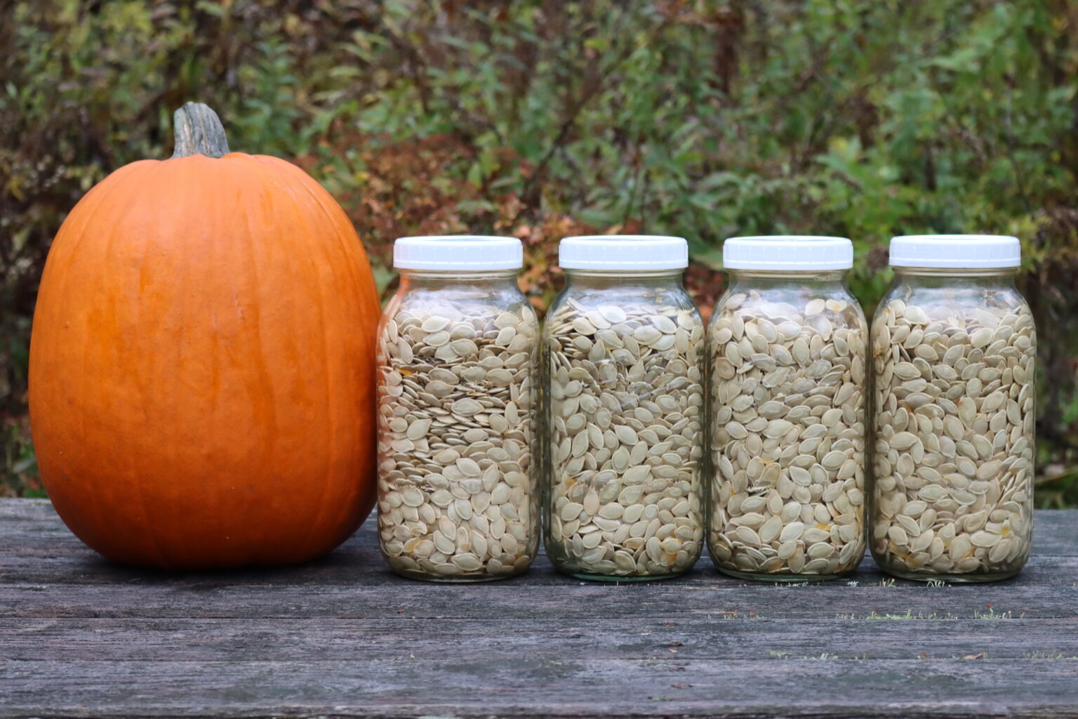 Pumpkin Seeds in Jars