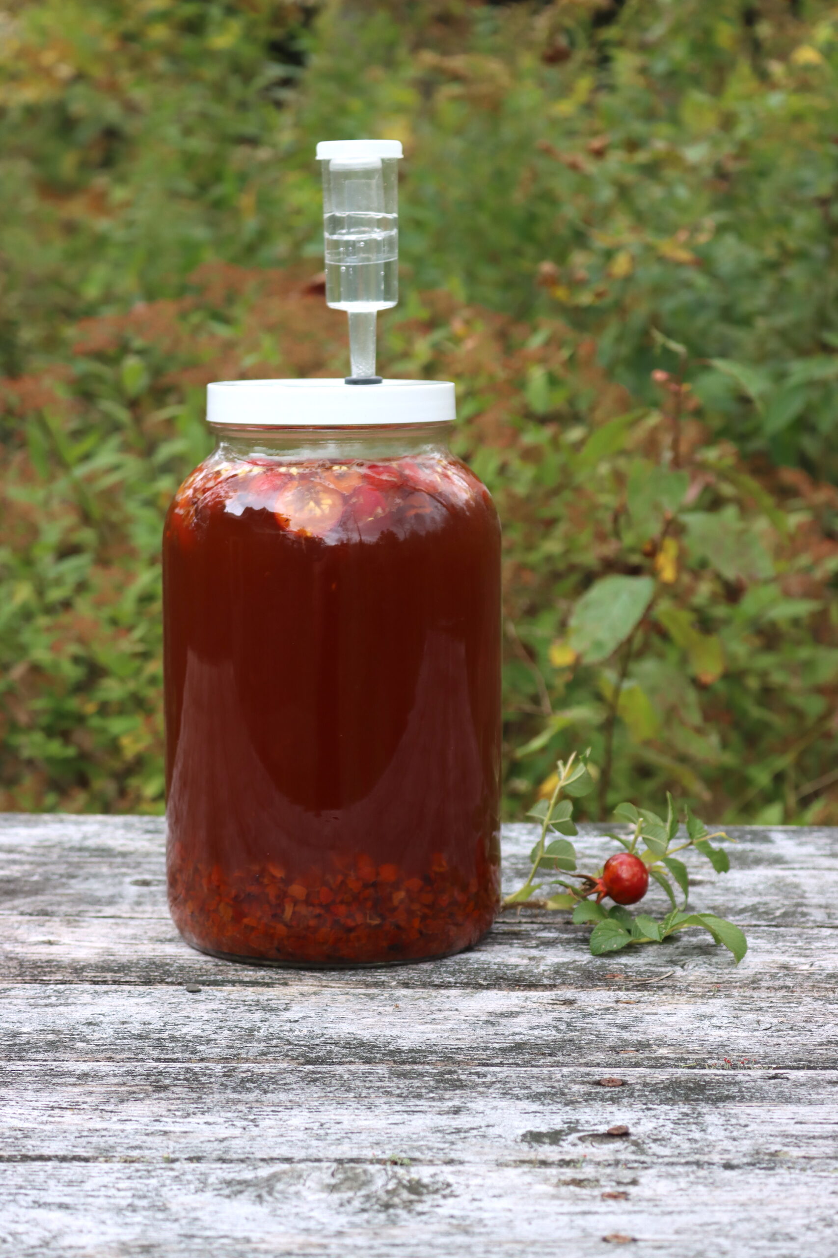 Rose Hip Wine