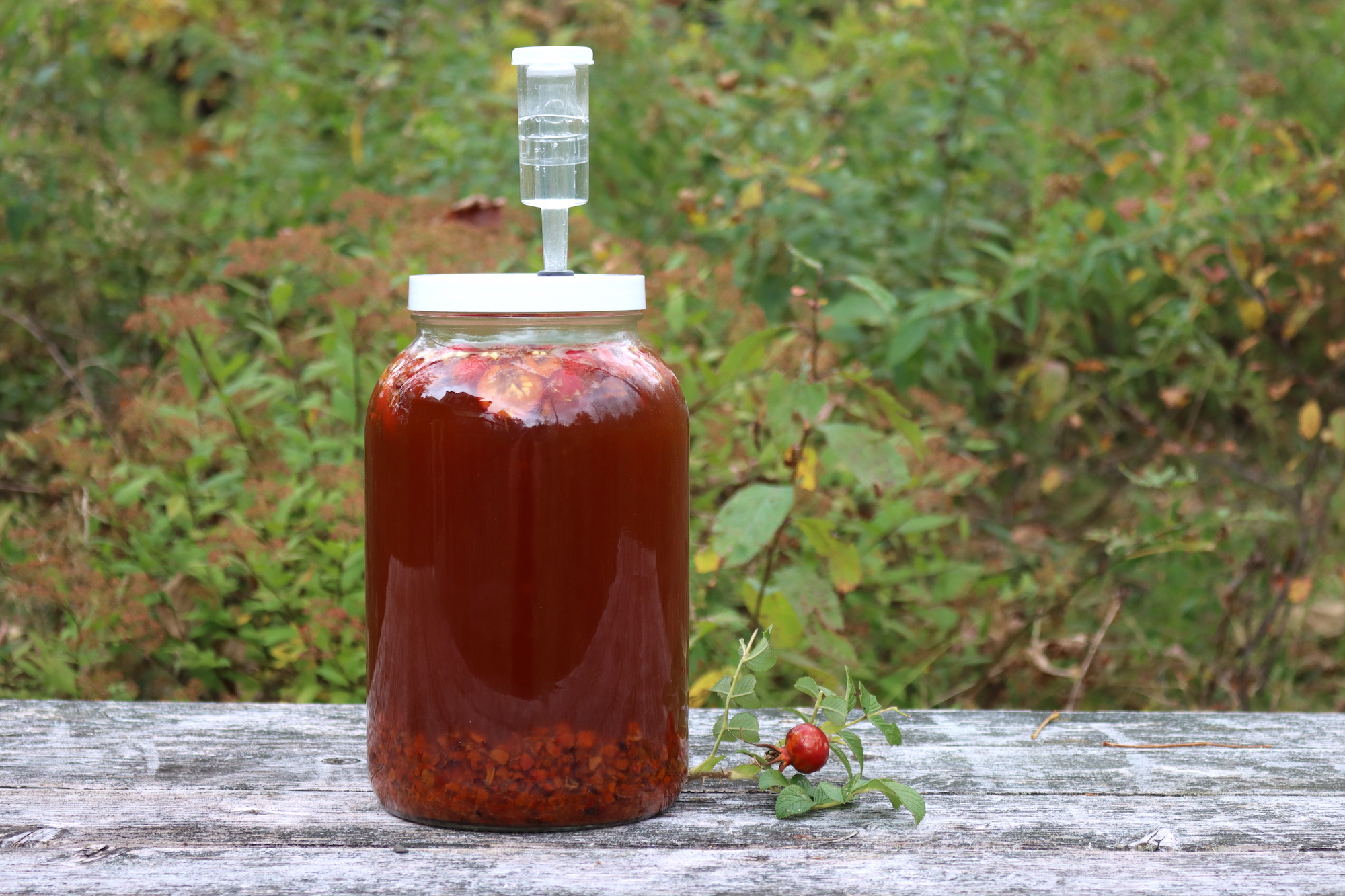 Rose Hip Wine