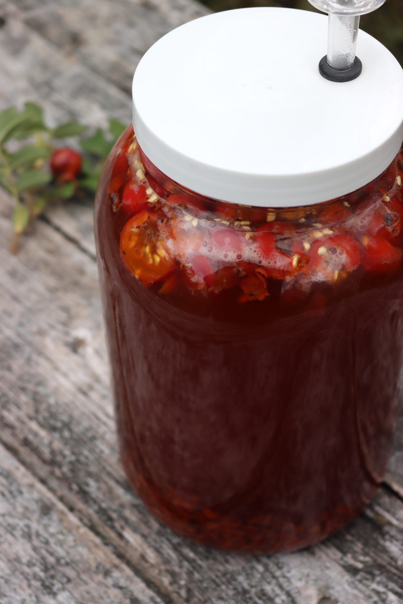 Rosehip Wine