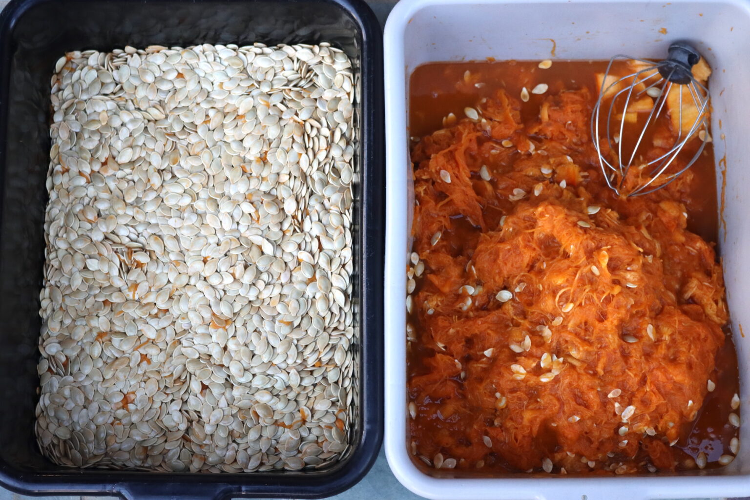 Separated Pumpkin Seeds