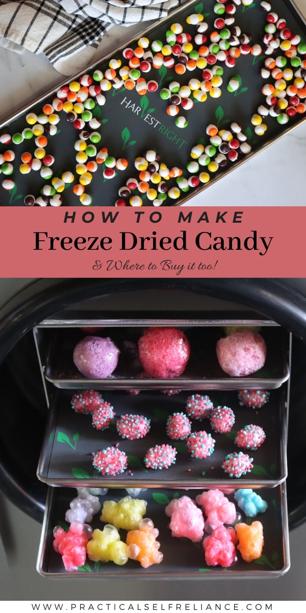 Freeze Dried Candy At Home