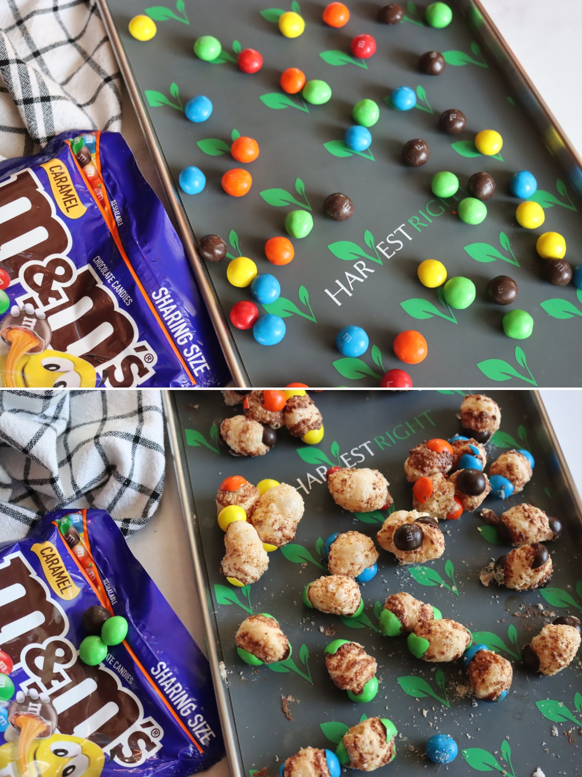 Freeze Dried Caramel MMS