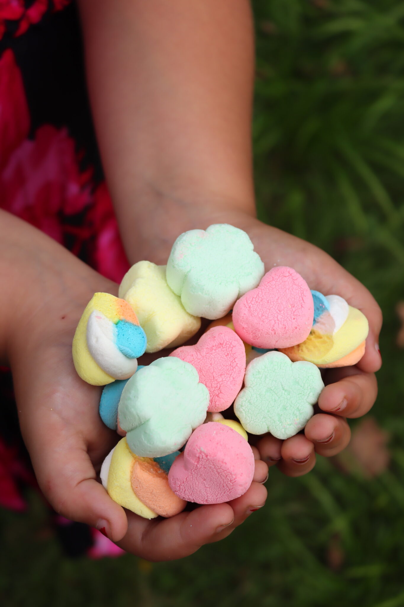 Freeze Dried Lucky Charms Marshmallows