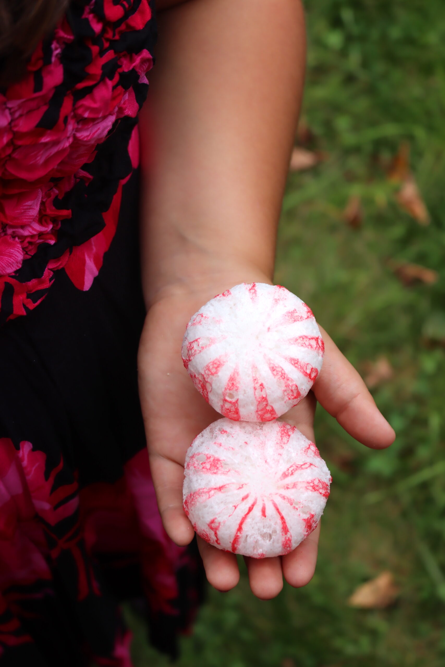 Freeze Dried Peppermints