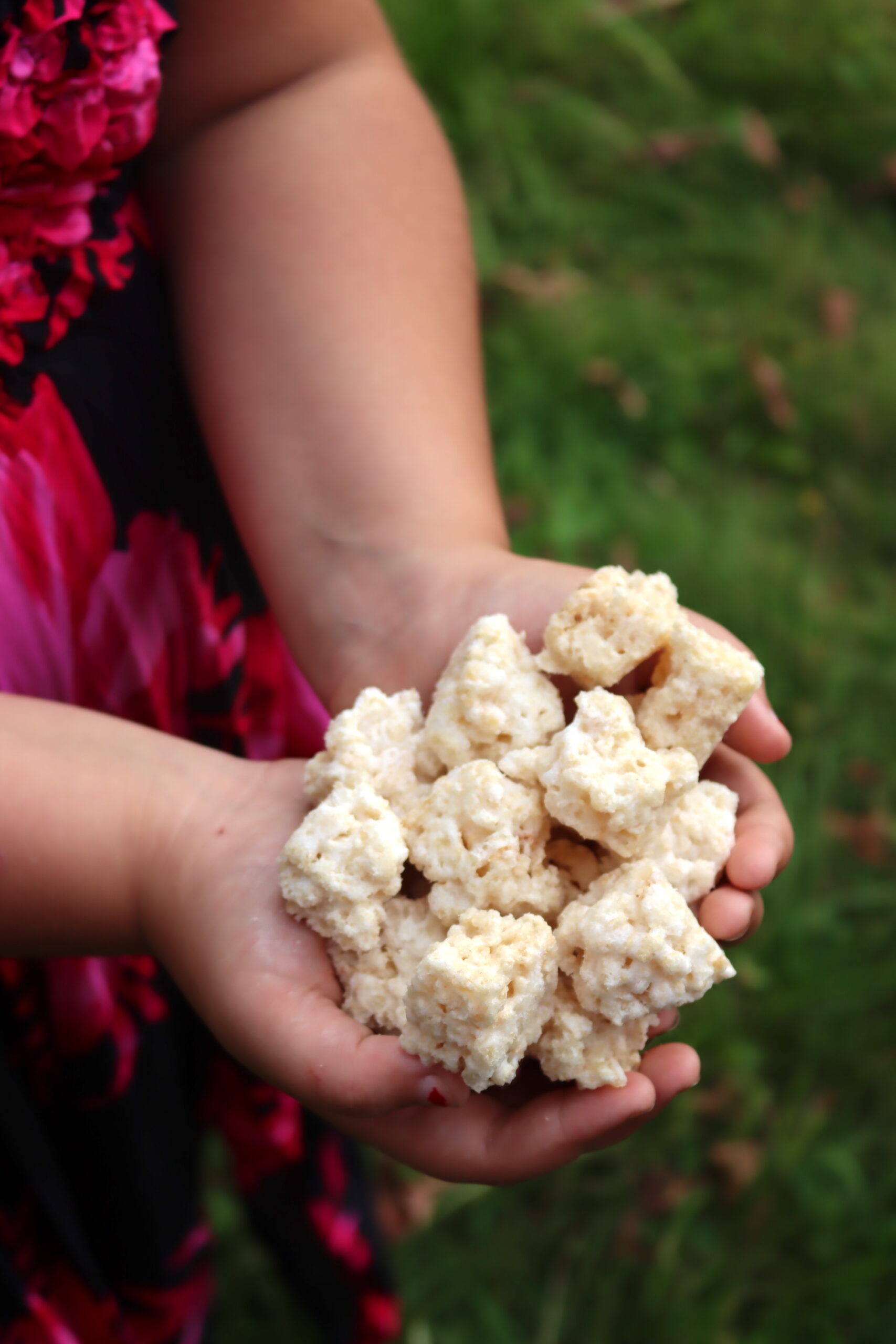 Freeze Dried Rice Crispy Treats