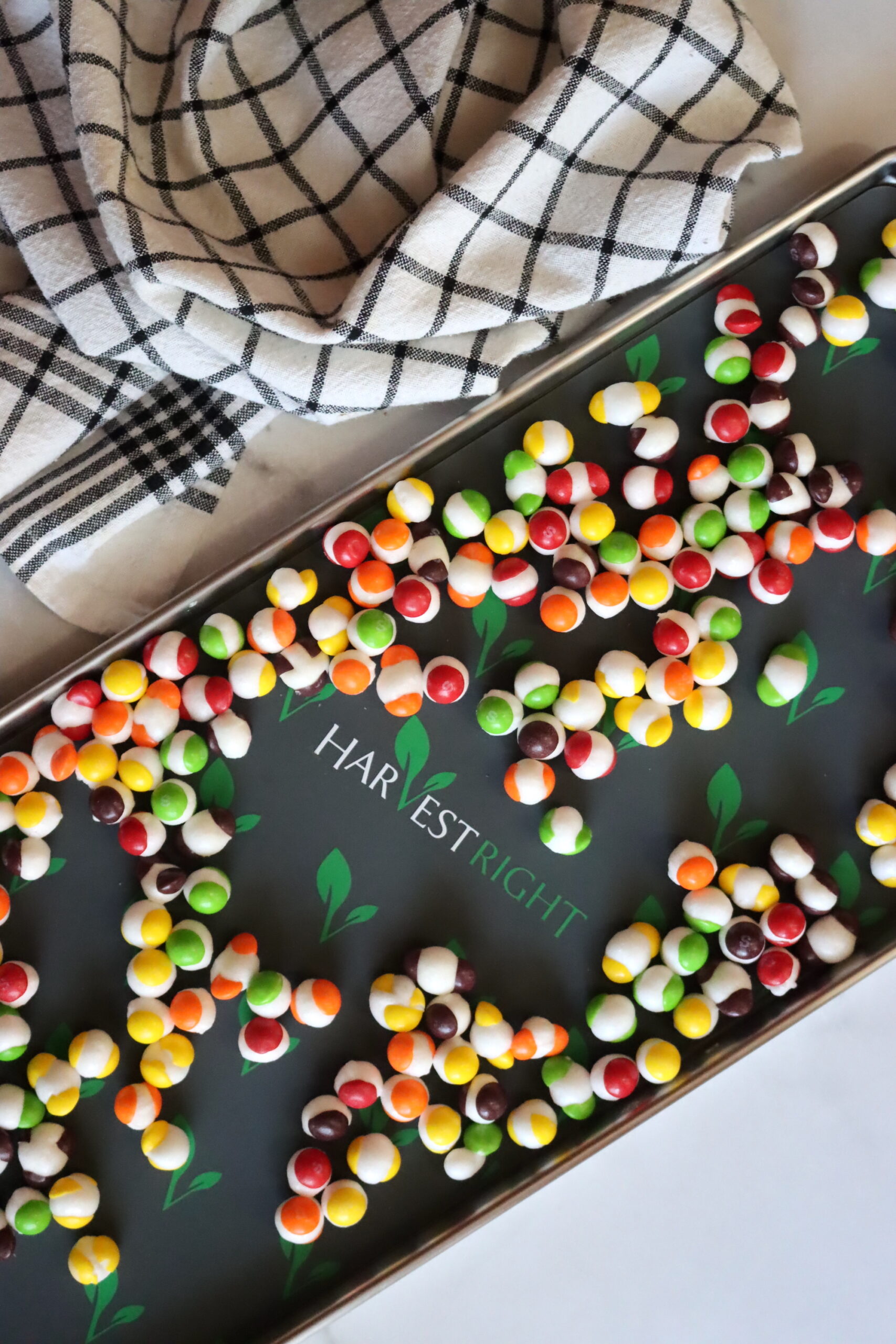 Freeze Dried Skittles