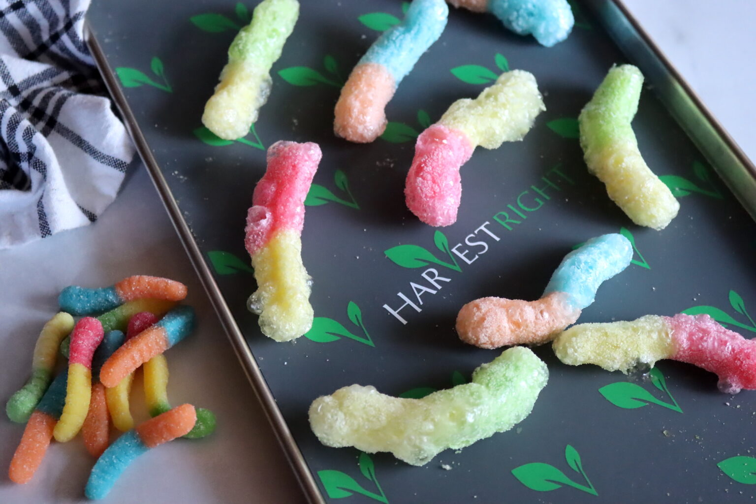Freeze Dried Sour Gummy Worms