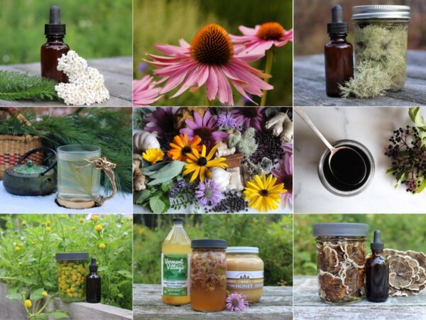 Natural Remedies for Cold and Flu