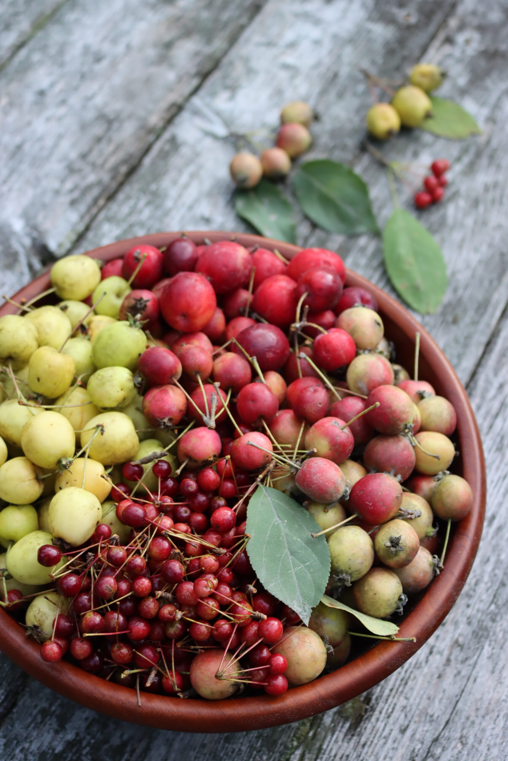 Crabapple Bowl